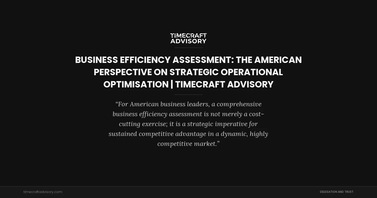 Business Efficiency Assessment: The American Perspective on Strategic Operational Optimisation | TimeCraft Advisory