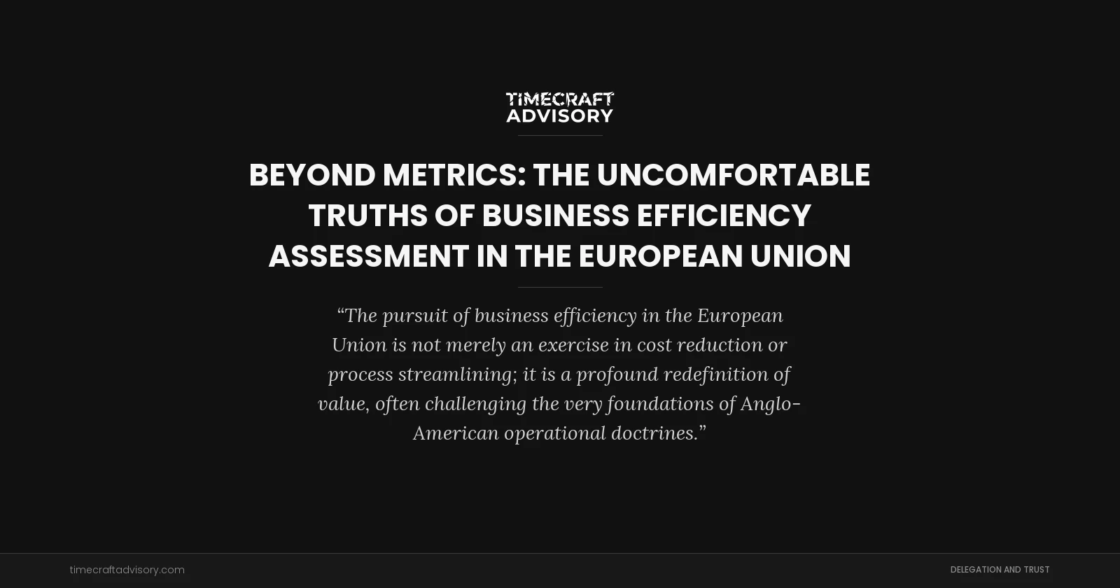 Beyond Metrics: The Uncomfortable Truths of Business Efficiency Assessment in the European Union
