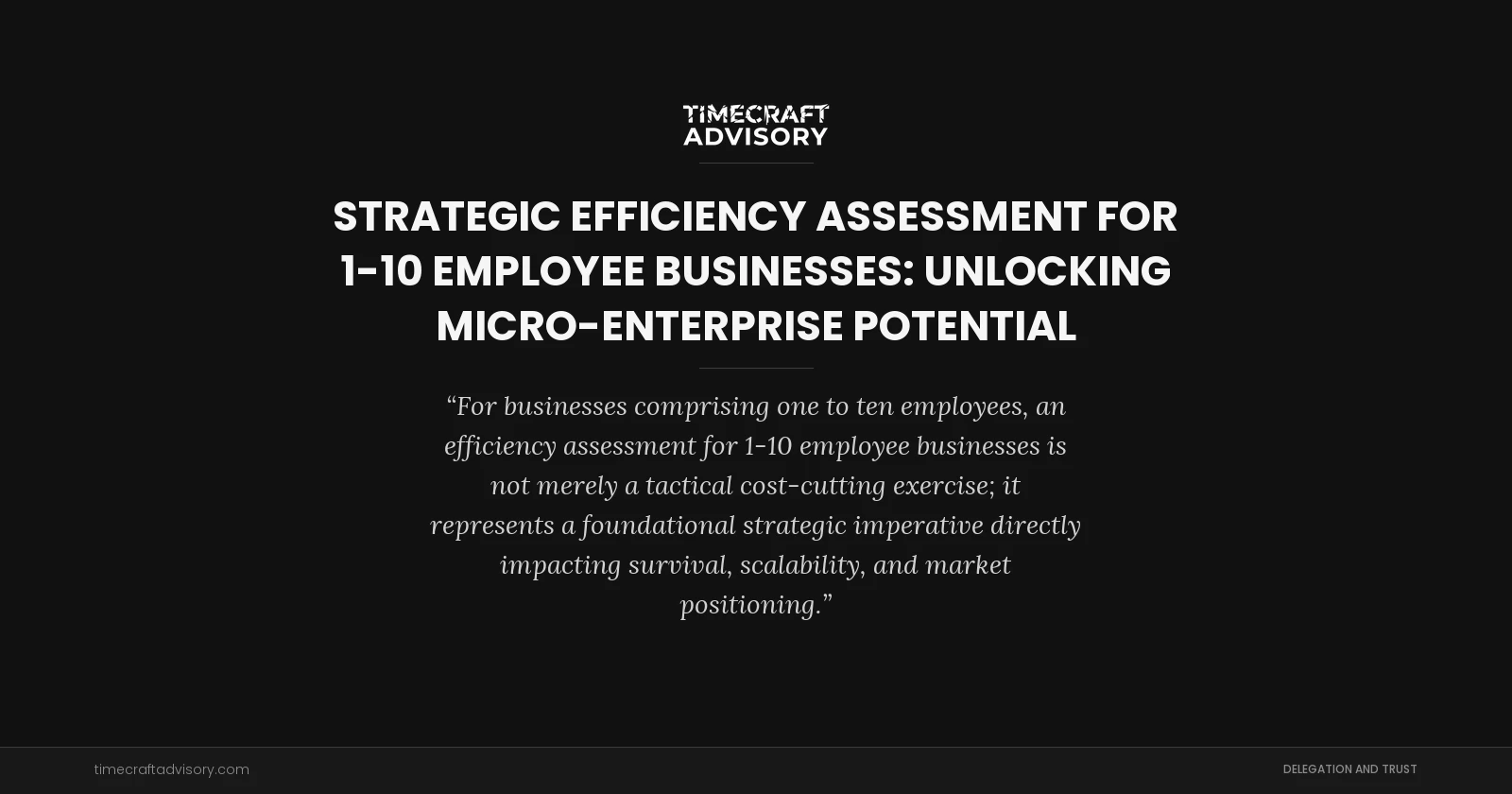 Strategic Efficiency Assessment for 1-10 Employee Businesses: Unlocking Micro-Enterprise Potential