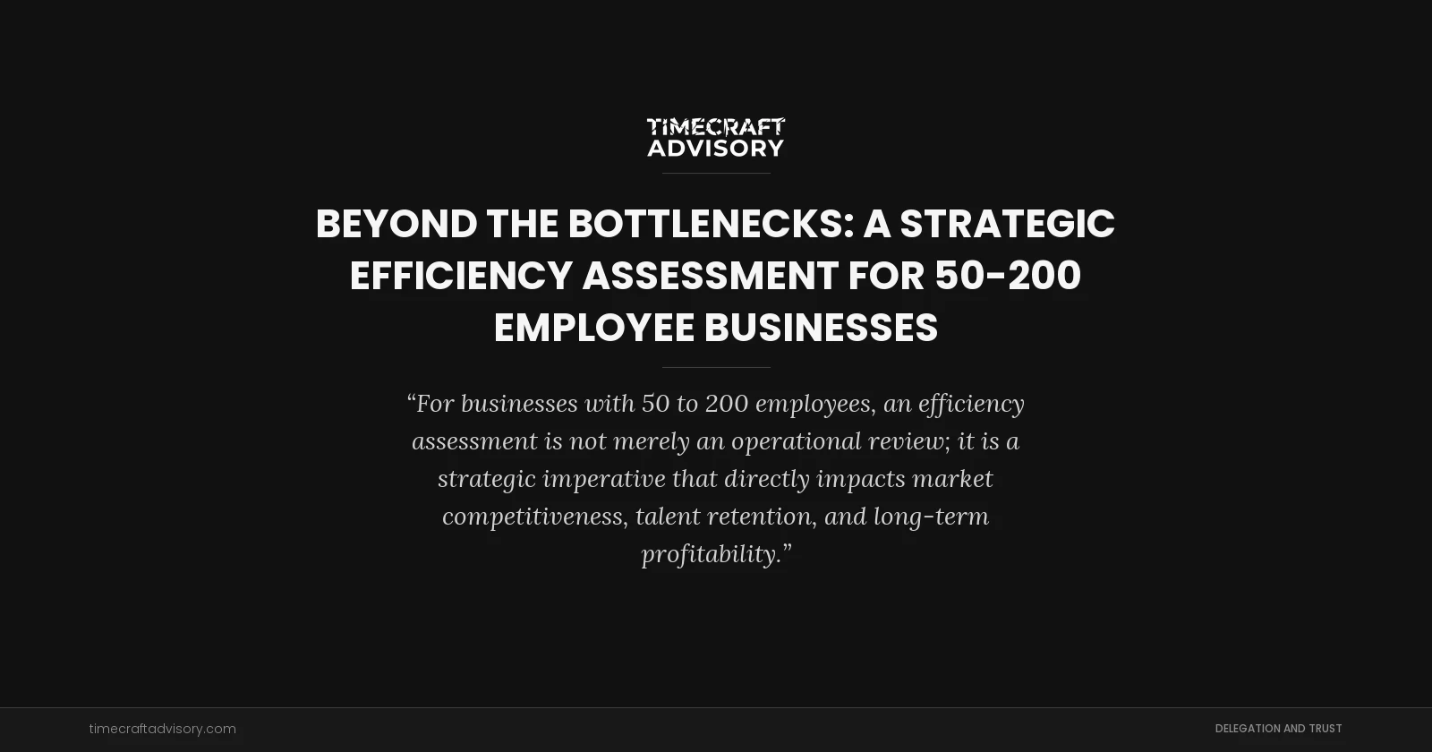 Beyond the Bottlenecks: A Strategic Efficiency Assessment for 50-200 Employee Businesses