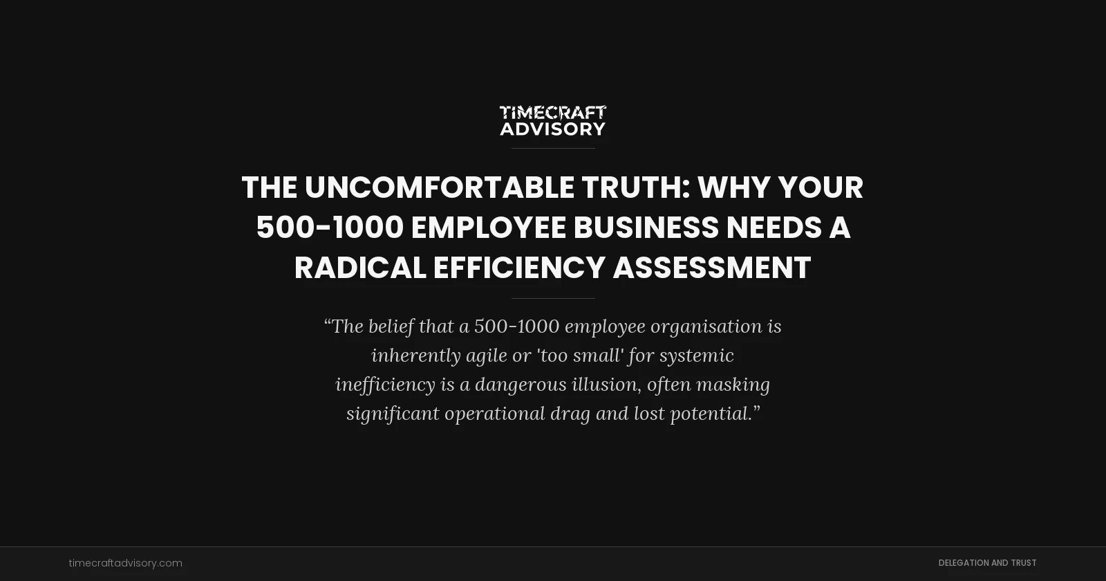 The Uncomfortable Truth: Why Your 500-1000 Employee Business Needs a Radical Efficiency Assessment