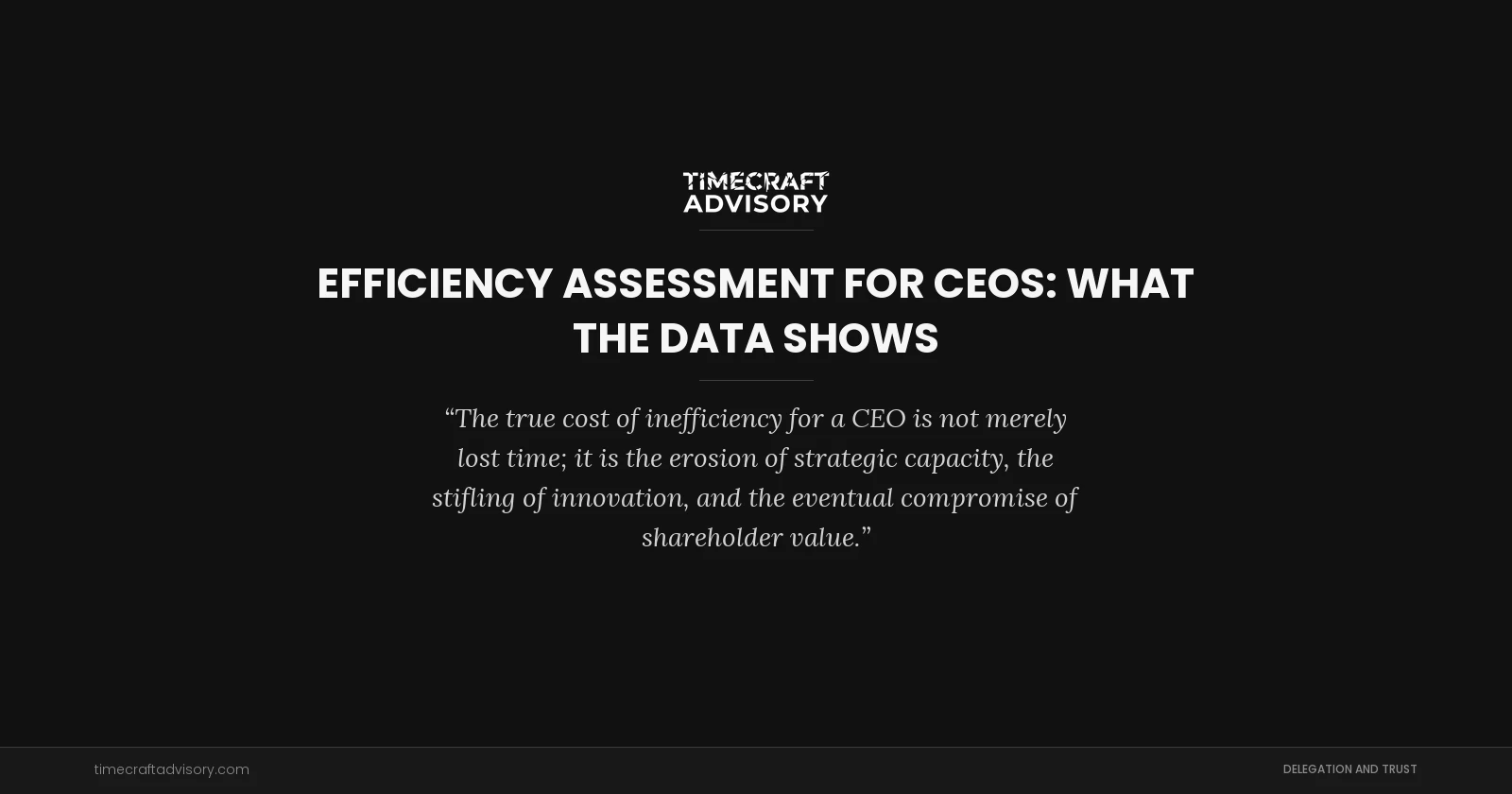 Efficiency Assessment for CEOs: What the Data Shows