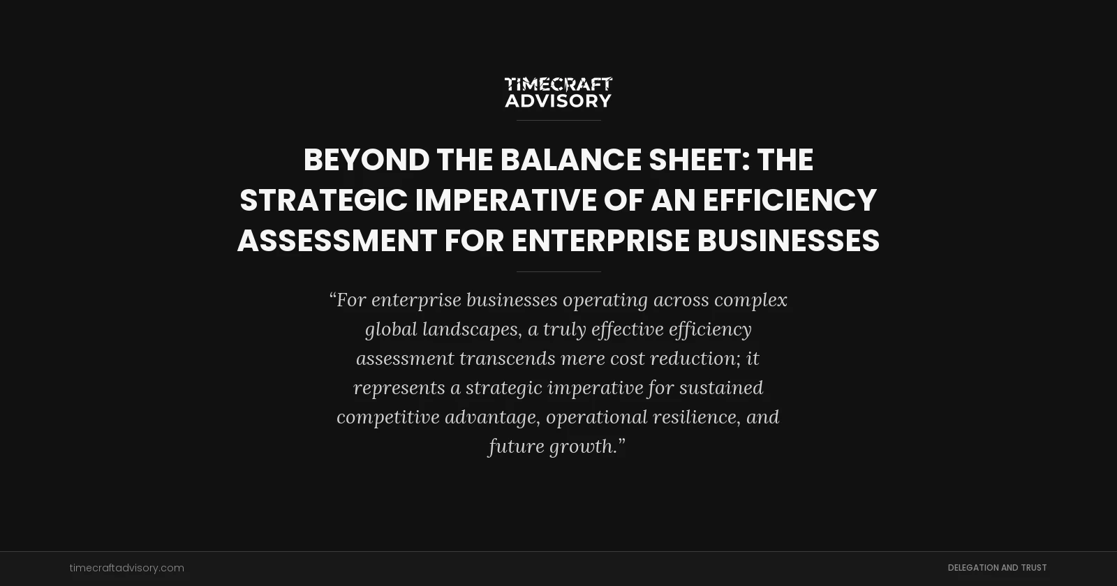Beyond the Balance Sheet: The Strategic Imperative of an Efficiency Assessment for Enterprise Businesses