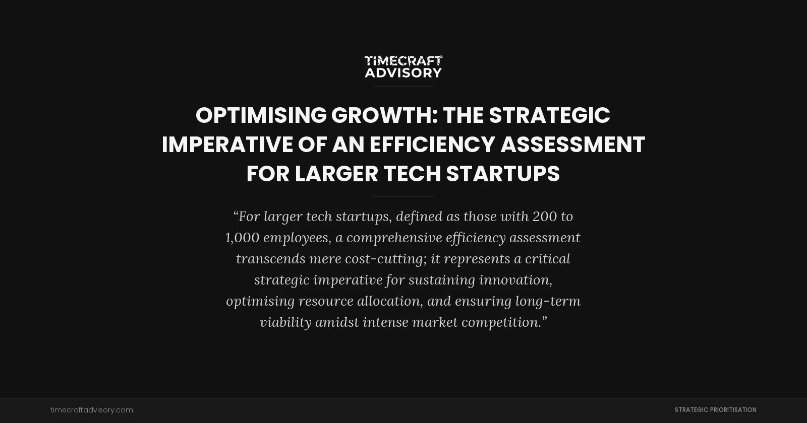 Optimising Growth: The Strategic Imperative of an Efficiency Assessment for Larger Tech Startups
