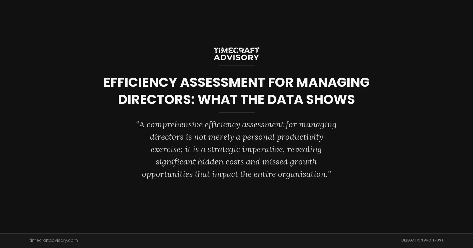 Efficiency Assessment for Managing Directors: What the Data Shows