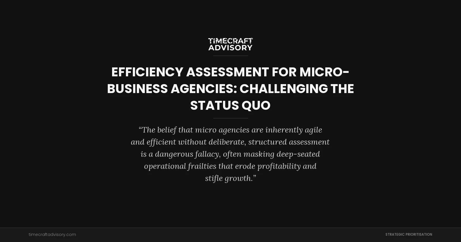 Efficiency Assessment for Micro-Business Agencies: Challenging the Status Quo