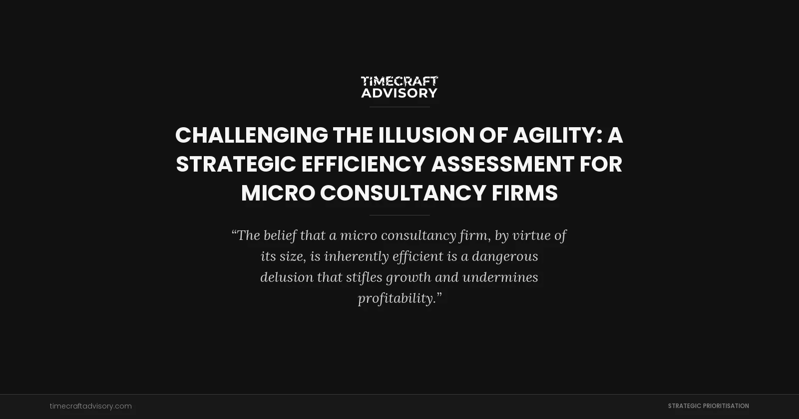 Challenging the Illusion of Agility: A Strategic Efficiency Assessment for Micro Consultancy Firms