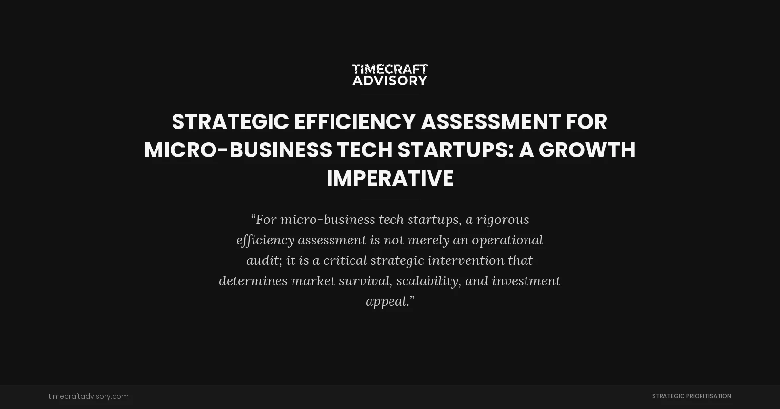 Strategic Efficiency Assessment for Micro-Business Tech Startups: A Growth Imperative