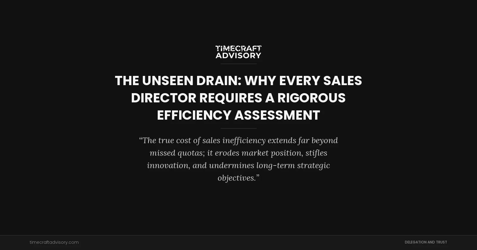 The Unseen Drain: Why Every Sales Director Requires a Rigorous Efficiency Assessment
