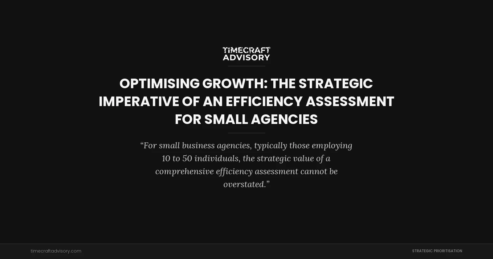 Optimising Growth: The Strategic Imperative of an Efficiency Assessment for Small Agencies