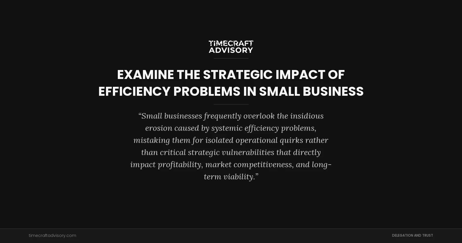 examine the Strategic Impact of Efficiency Problems in Small Business