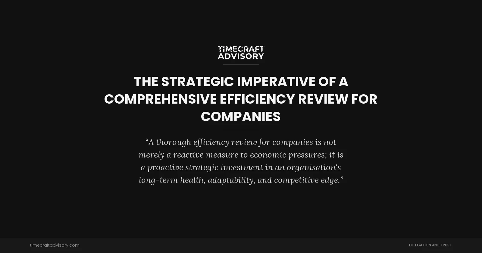 The Strategic Imperative of a Comprehensive Efficiency Review for Companies