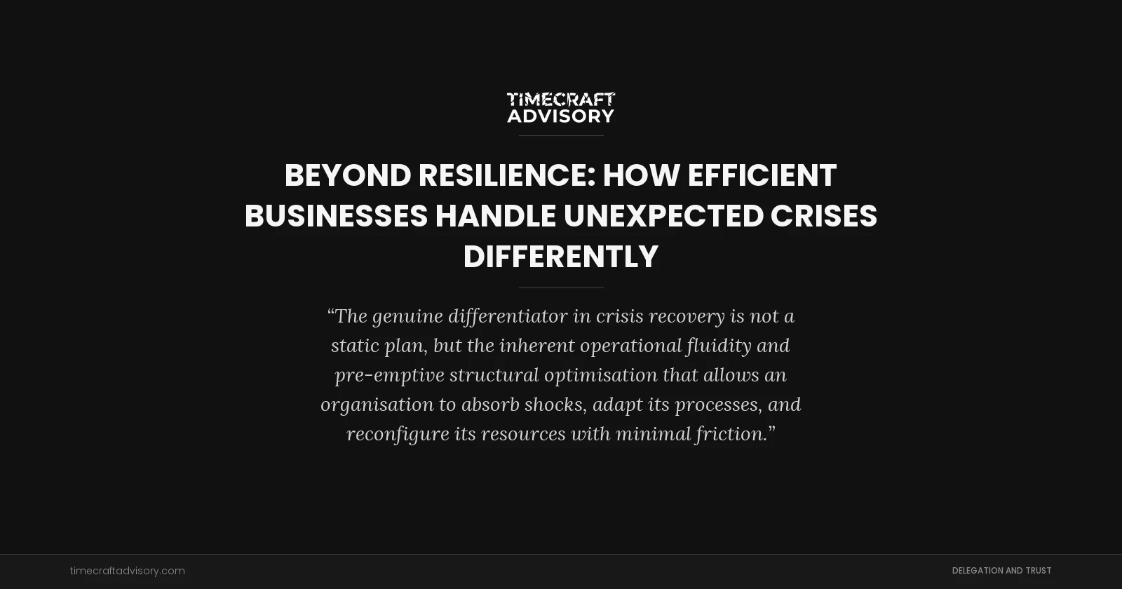 Beyond Resilience: How Efficient Businesses Handle Unexpected Crises Differently