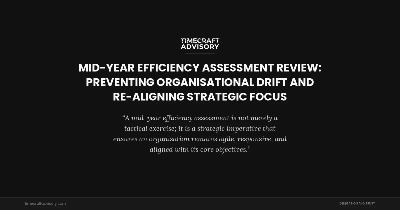 Mid-Year Efficiency Assessment Review: Preventing Organisational Drift and Re-aligning Strategic Focus
