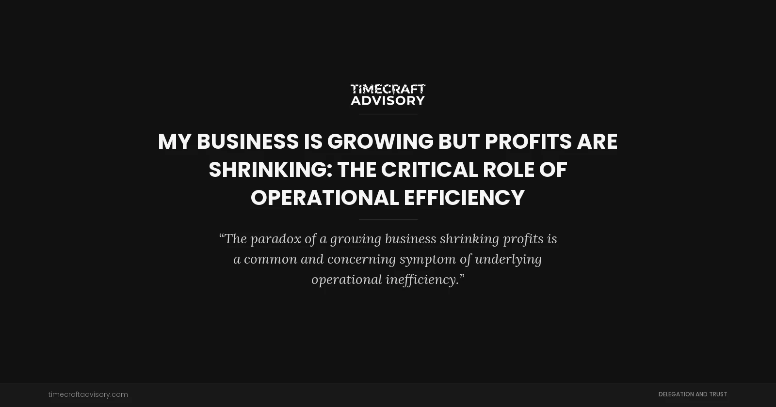 My Business is Growing But Profits Are Shrinking: The Critical Role of Operational Efficiency