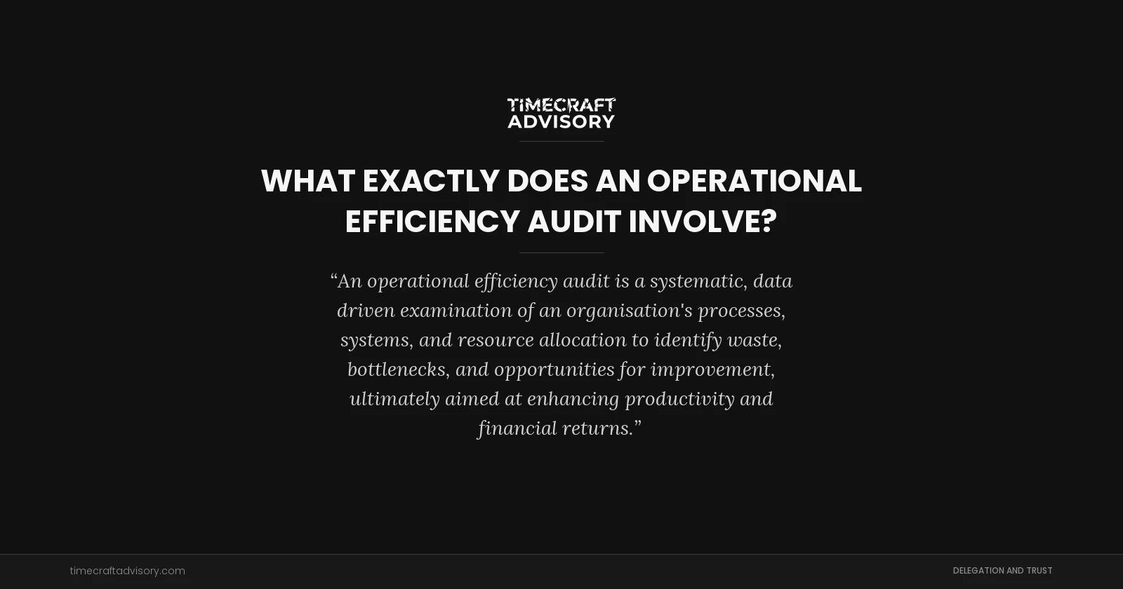 What Exactly Does an Operational Efficiency Audit Involve?
