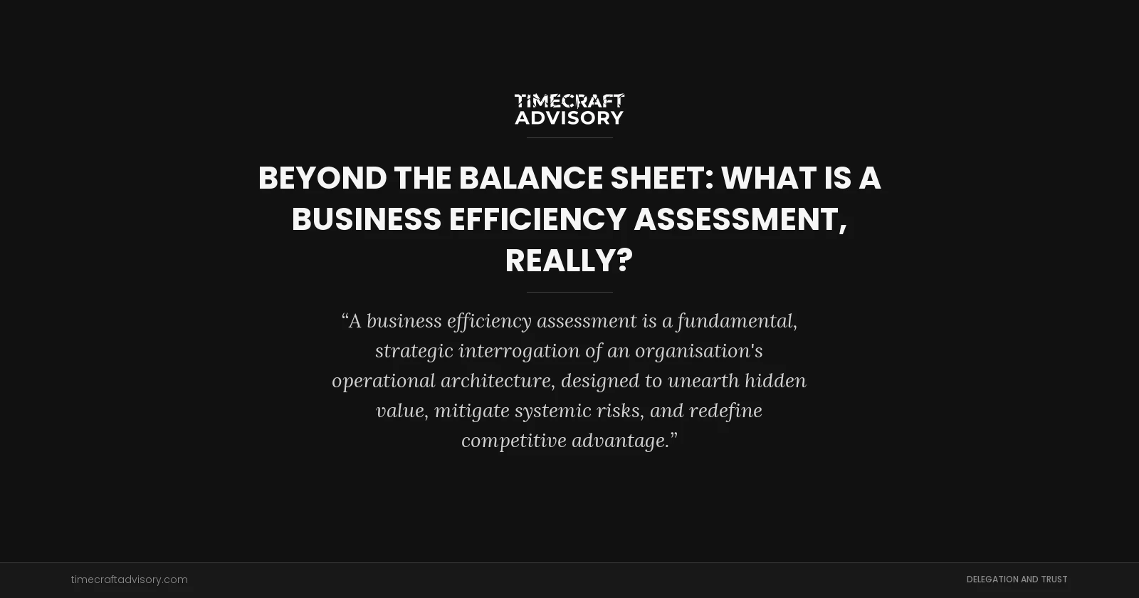 Beyond the Balance Sheet: What is a Business Efficiency Assessment, Really?