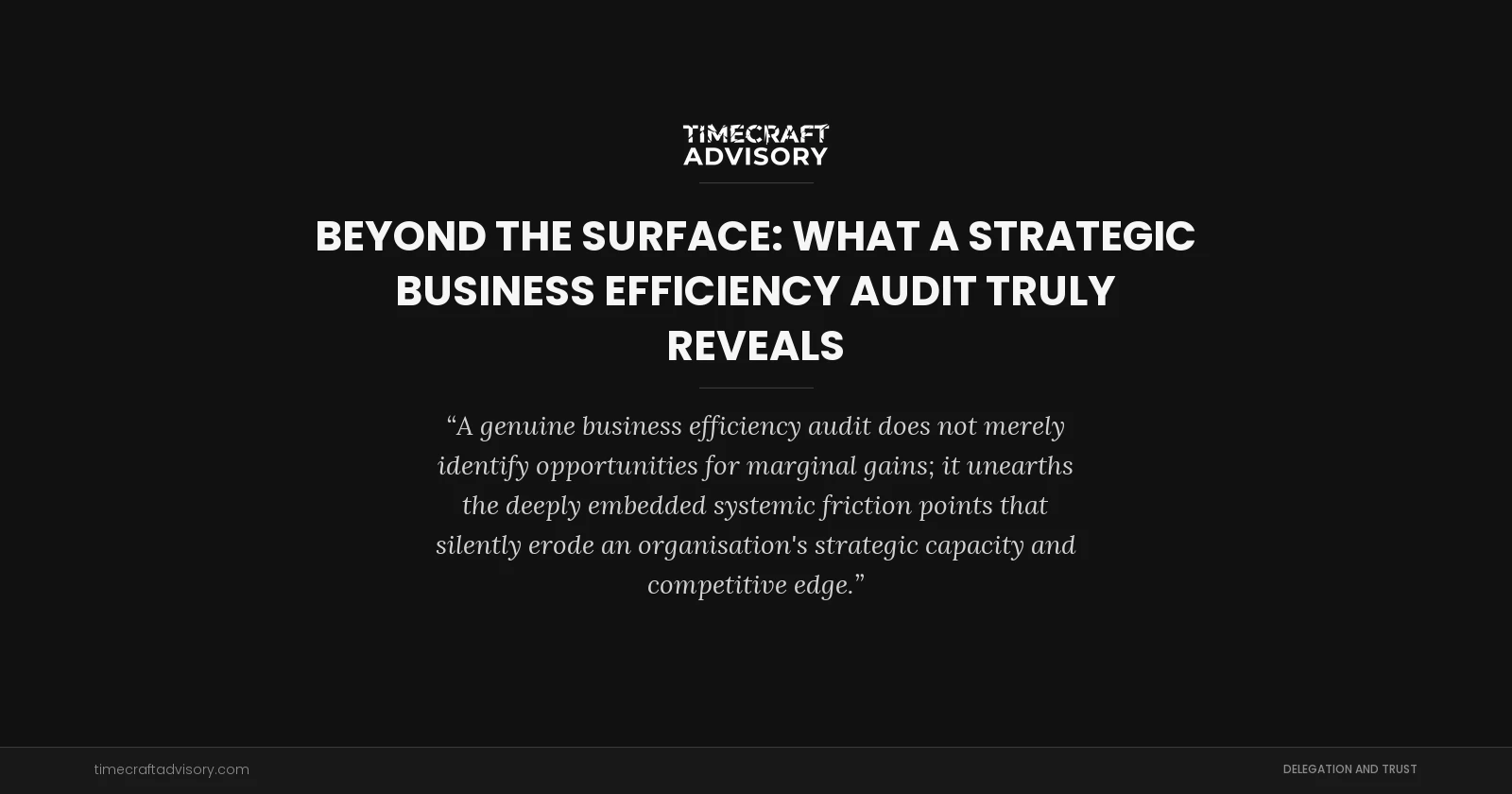 Beyond the Surface: What a Strategic Business Efficiency Audit Truly Reveals