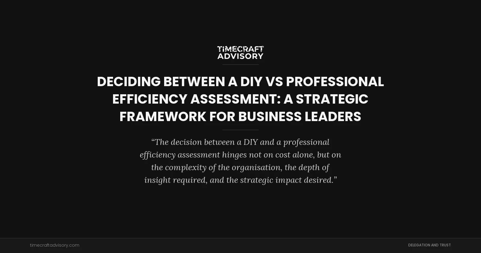 Deciding Between a DIY vs Professional Efficiency Assessment: A Strategic Framework for Business Leaders