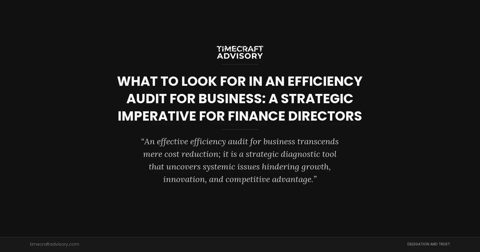 What to Look for in an Efficiency Audit for Business: A Strategic Imperative for Finance Directors