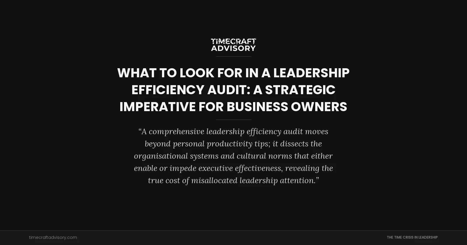 What to Look for in a Leadership Efficiency Audit: A Strategic Imperative for Business Owners