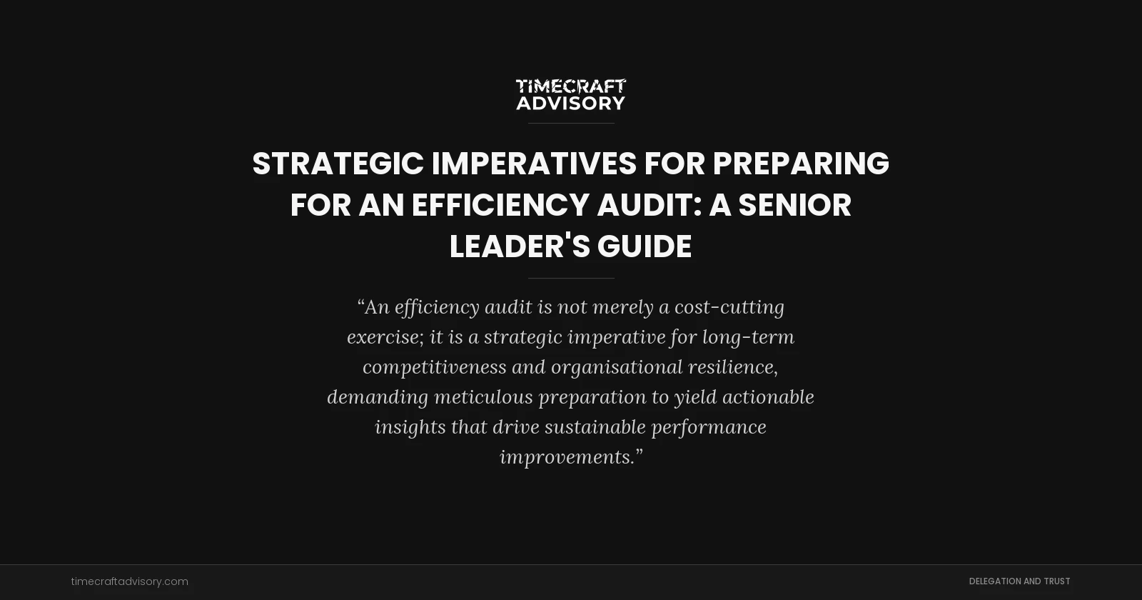 Strategic Imperatives for Preparing for an Efficiency Audit: A Senior Leader's Guide
