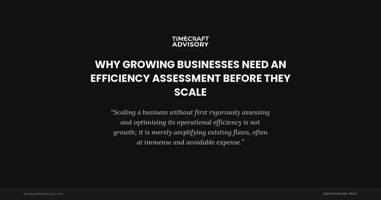 Why Growing Businesses Need an Efficiency Assessment Before They Scale