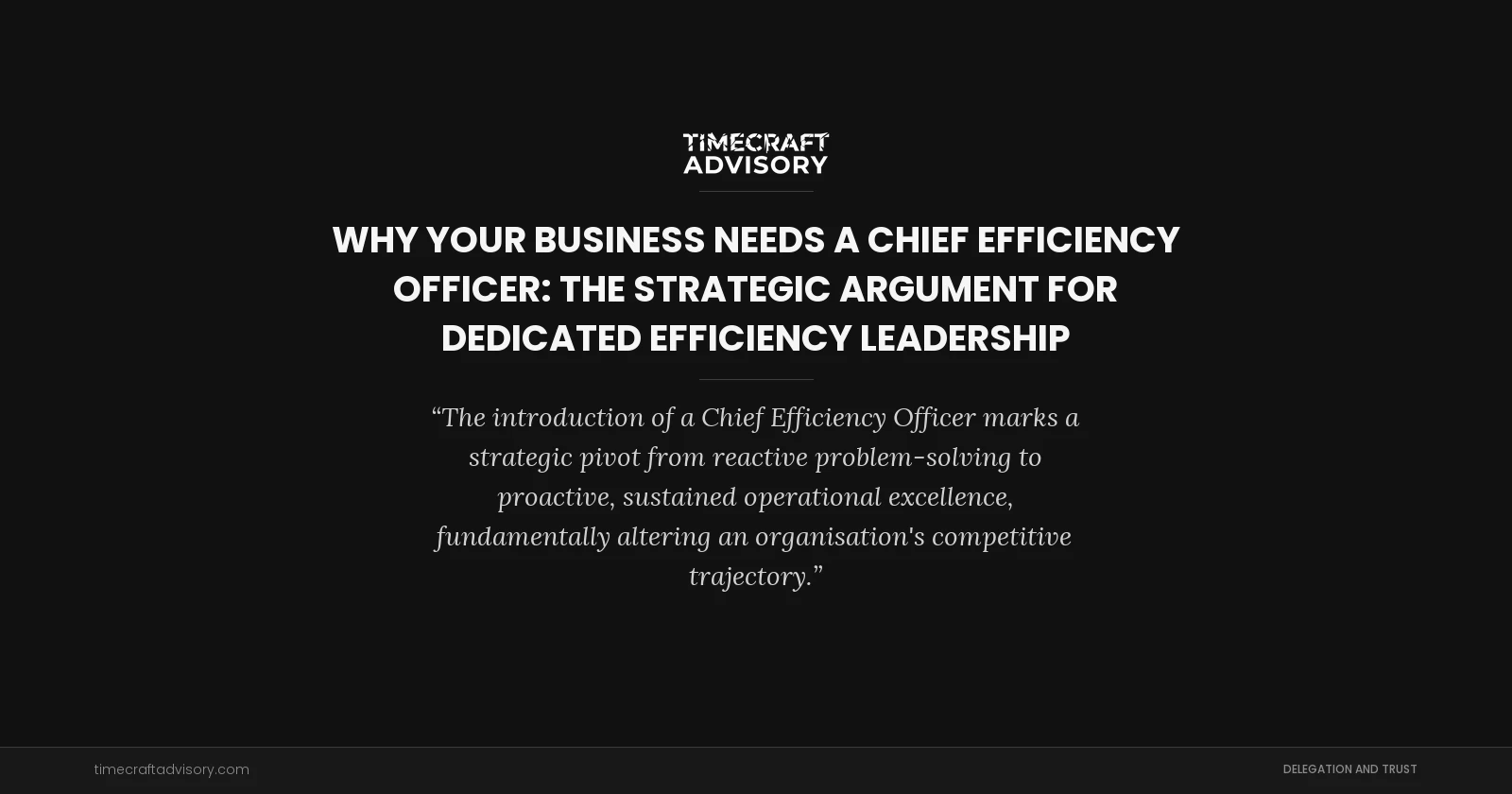 Why Your Business Needs a Chief Efficiency Officer: The Strategic Argument for Dedicated Efficiency Leadership